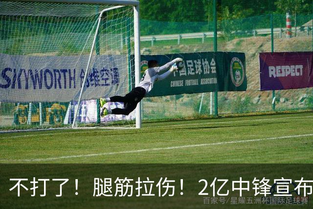 不打了！腿筋拉伤！2亿中锋宣布休战