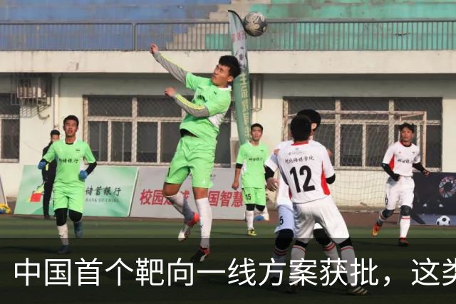中国首个靶向一线方案获批，这类外周T细胞淋巴瘤迎新选择