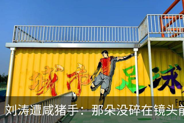 刘涛遭咸猪手：那朵没碎在镜头前的笑，比愤怒更让人难受