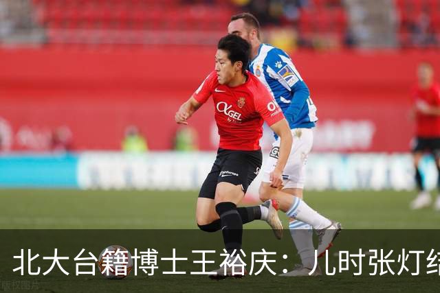 北大台籍博士王裕庆：儿时张灯结彩的“光复节”，为何被民进党抹除