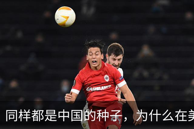同样都是中国的种子，为什么在美国种出的水稻，亩产要比中国高？