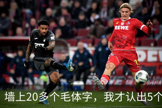 墙上20多个毛体字，我才认出5个！能全认出来的，读书是真下功夫了。学草书应该反复练一本帖，还是多看几家？