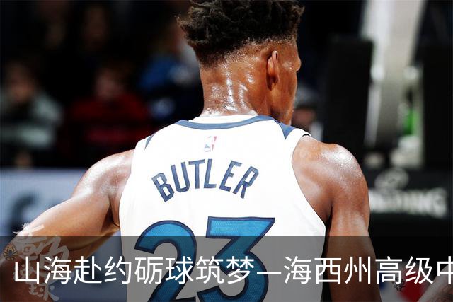 山海赴约砺球筑梦—海西州高级中学男篮完成浙证基地回访研学训练