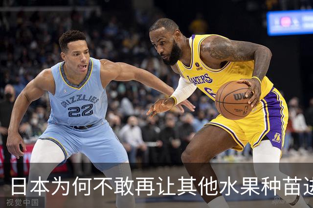 日本为何不敢再让其他水果种苗进入中国？别以为只是贸易摩擦。日本不愿放水果进中国，是因为被“偷家”偷怕了