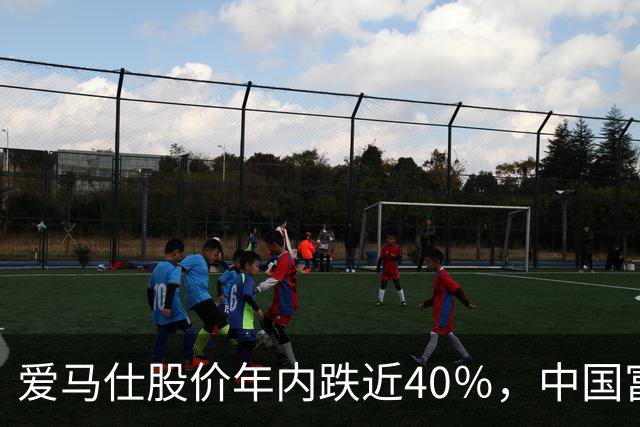 爱马仕股价年内跌近40％，中国富人不爱买了