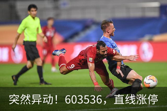 突然异动！603536，直线涨停