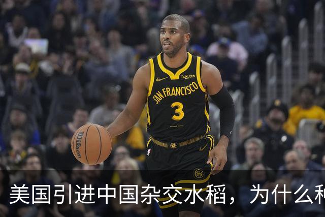美国引进中国杂交水稻，为什么种出的亩产，反而比中国还要高？