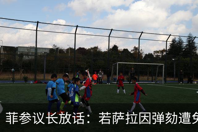 菲参议长放话：若萨拉因弹劾遭免职，将因利益冲突拒绝接任！
