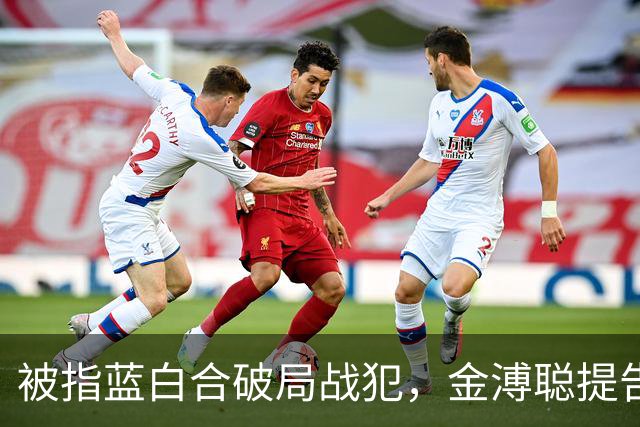 被指蓝白合破局战犯，金溥聪提告邱毅、蔡正元，一审判决出炉